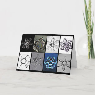 Carte Flocons de neige Snowcatcher améliorés