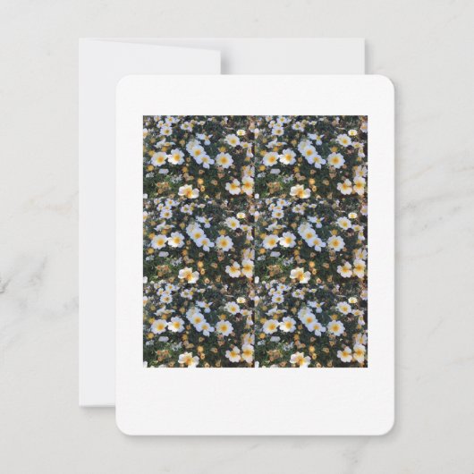 Carte Floral Bliss (Devant)