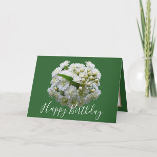 Carte Floral Chic Bouquet White Spirea Floral Anniversai