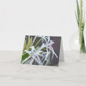 Carte Floral Fragrance Note (Devant)