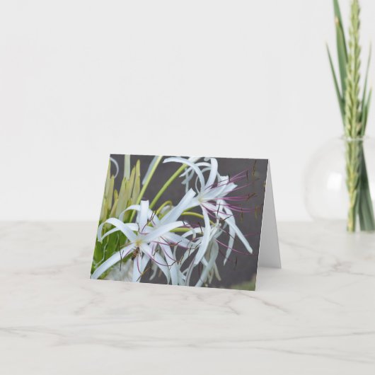 Carte Floral Fragrance Note (Devant)