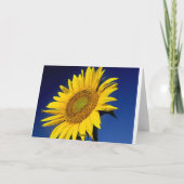 Carte Floral Friends Sunflower Jaune & Fleurs Bleues (Dos)