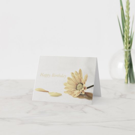 Carte Floral - marguerite (Devant)