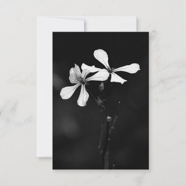 Carte floral noir et blanc minimal (Devant)