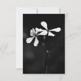Carte floral noir et blanc minimal