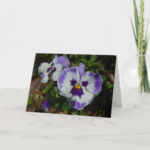 Carte Floral Purple and White Pansies