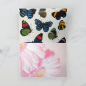 Carte Floral rose et papillon (Intérieur)