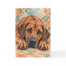 Carte florale aquarelle du chien Rhodesian Ridgeba