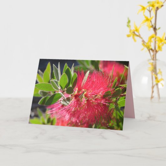 Carte florale de fleur australienne Red Bottlebrus (Fleur jaune)
