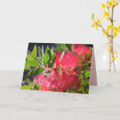 Carte florale de Fleur de Bottlebrush Rouge Austra (Fleur jaune)