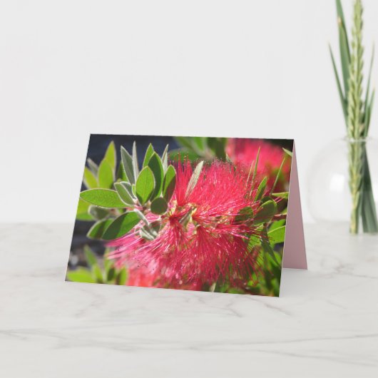 Carte florale de Fleur de Bottlebrush Rouge Austra (Devant)