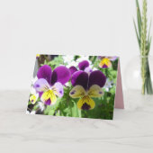 Carte florale de Fleur Violette de Pensée Jolie (Devant)