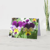 Carte florale de Fleur Violette de Viola Pensée Jo (Dos)