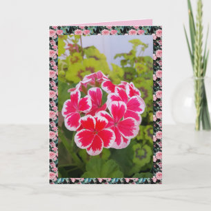 Carte florale de jardin de fleurs de géranium Pela