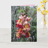 Carte florale de muflier rouge rayé de jardin de c (Fleur jaune)