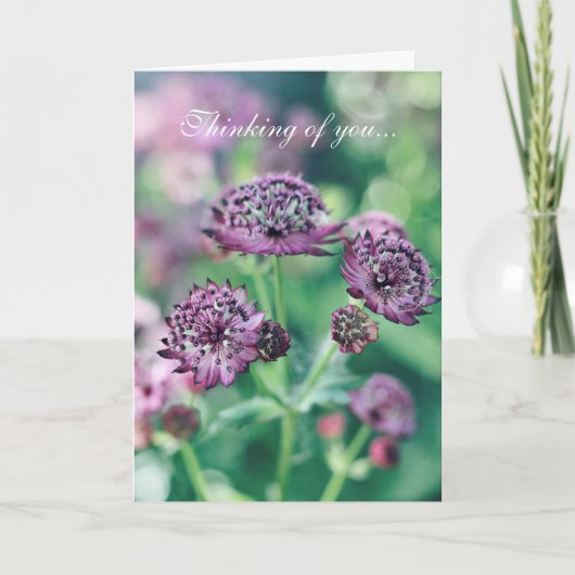 Carte florale de pensée pour toi (Devant)