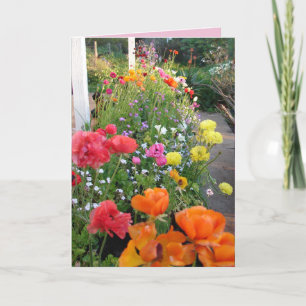 Carte florale de renoncule rose Cottage Garden Smi