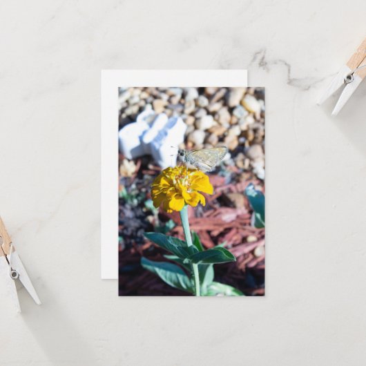 Carte Florale de Zinnia jaune avec photographie de papil (Devant/Arrière en situation)