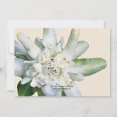 Carte florale d'invitation de Fête de la mariée (Dos)