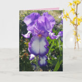 Carte florale d'iris barbus bleus et blancs (Fleur jaune)