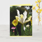 Carte florale d'iris jaune de jardin de campagne (Fleur jaune)