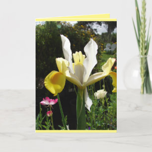 Carte florale d'iris jaune de jardin de campagne