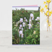 Carte florale d'Iris pourpre de jardin de campagne (Fleur jaune)