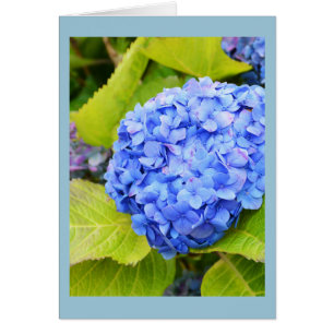 Carte florale hydrangea bleu