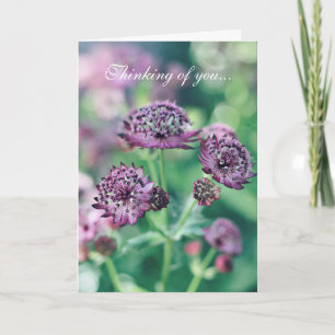 Carte Florale Pensées pour Toi