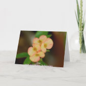 Carte florale vide (Dos)