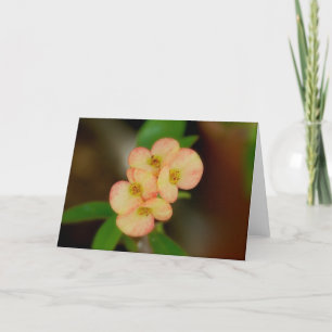 Carte florale vide