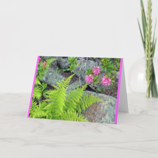 Carte "Flore alpine" (Devant)