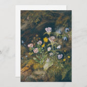 Carte Flore alpine | Theodor Petter (Devant / Derrière)