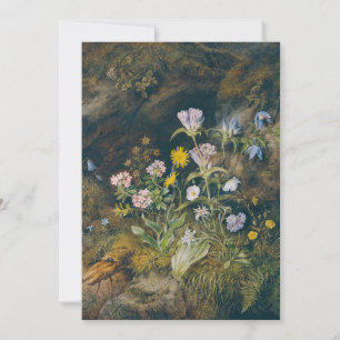 Carte Flore alpine Theodor Petter