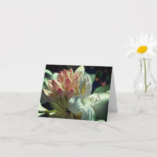 Carte Flore azalée blanche Note personnalisée