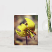 Carte Flore De Truite Lily Et Ami (Devant)