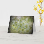 Carte Flore printanière (Fleur jaune)