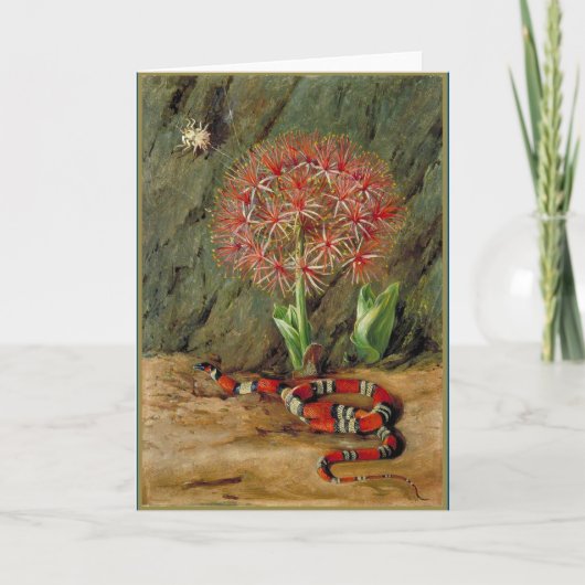 Carte Flore Serpent et araignée de corail impériale (Devant)