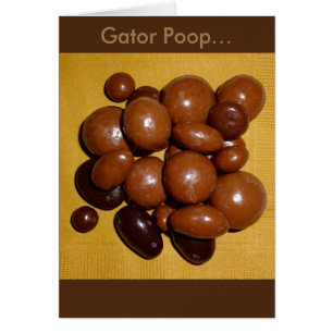 Carte Florida Gator Poop Chocolate Spécialités