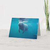 Carte Florida Manatee (Devant)