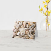 Carte Florida Sea Shell Arrière - plan - Beach Shells Cu (Fleur jaune)