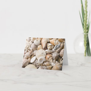 Carte Florida Sea Shell Arrière - plan - Beach Shells Cu