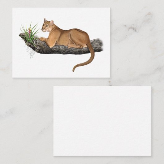 Carte Floride Panther Note (Devant / Derrière)