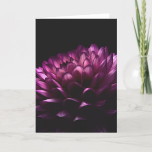 Carte Flower Dahlia