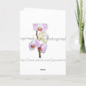 Carte Flower Gerbera Rouge (Dos)