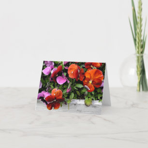 Carte Flowerbox des pensées