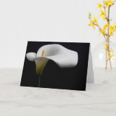 Carte Flowers (homonymie) | White Calla Lily (Fleur jaune)