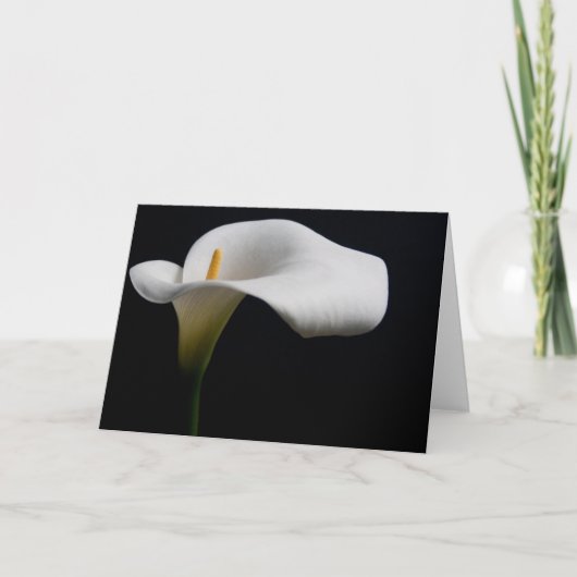 Carte Flowers (homonymie) | White Calla Lily (Devant)