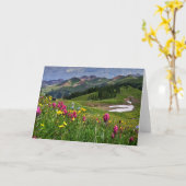 Carte Flowers (homonymie) | Wildflowers Durango (Fleur jaune)