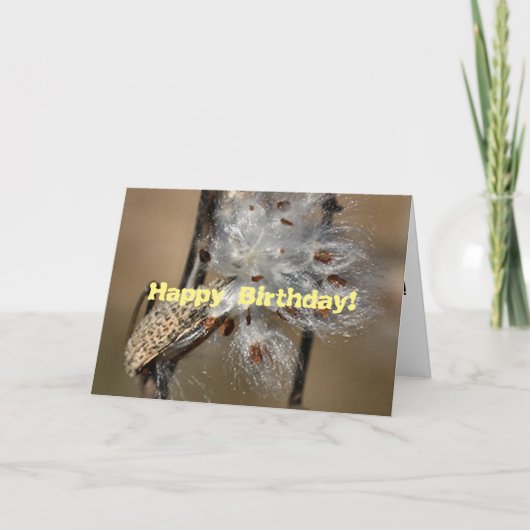 Carte Fluffkin Anniversaire (Devant)